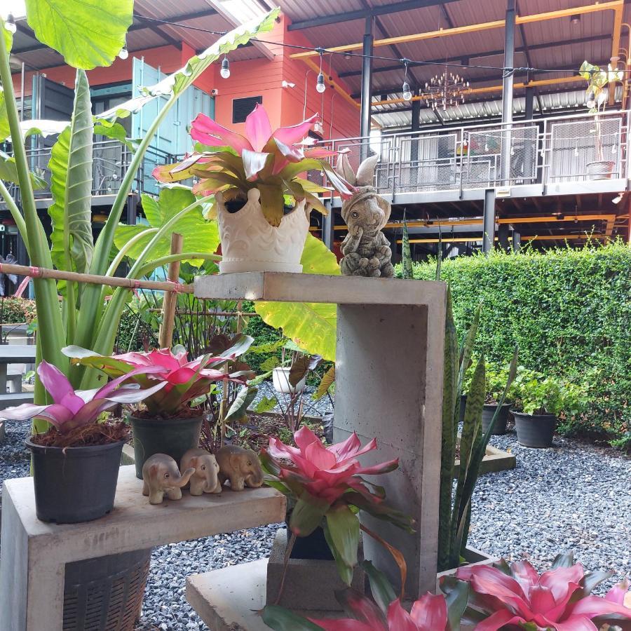 Kipbox Hotel Trang Kültér fotó